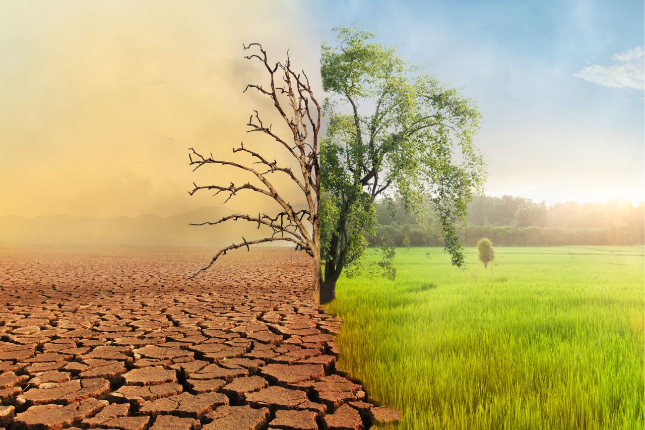 La influencia de la crisis climática en la seguridad alimentaria de Honduras