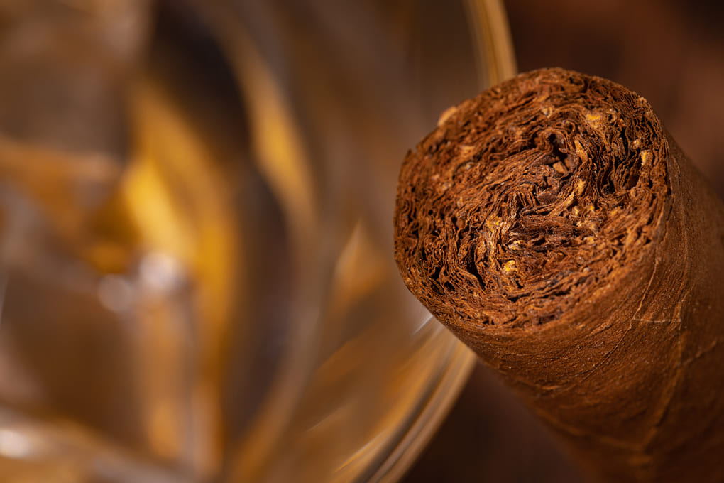 Empatía en Panamá: los puros Esmeralda y Zafiro te esperan