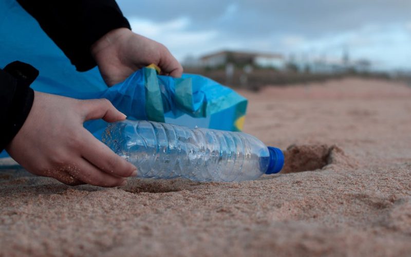 Cómo confirmar afirmaciones de empresas líderes Cómo confirmar afirmaciones de empresas líderes